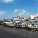 영어조합법인 청정제주 이미지