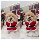 몽아뜨 이미지