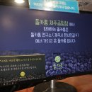 돌카롱연구소