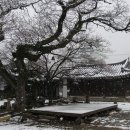 춘추민속관 Daum카페