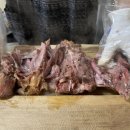 소나무집 이미지