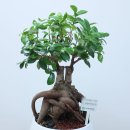 주식회사 에스지에너지 이미지