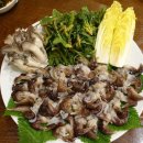 남도사계고운님 이미지