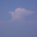 중화동-009 Daum카페