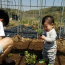 한희농장 이미지