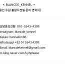 성복1로281번길 이미지