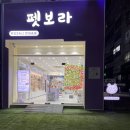 보라애견샵