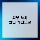 예라인의원 | 미금역피부과 피부 노화 원인 개선으로