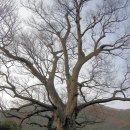 궁터마을 이미지