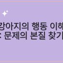 코아동물병원 | 해운대동물병원 강아지 행동 교정 팁 대방출!