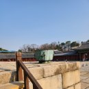 로엠.오에스티 | 종묘 창덕궁 예약관람후기(39) 창경궁 구경/김재승이 보여줌/ 또 이웃과모의하러감/낮에 노원구 남편과...