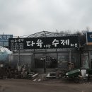 장암다육