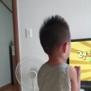 피피푸푸 이미지