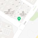 지니퍼피 의정부강아지분양 애견샵 이미지