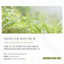 작은여우비 이미지