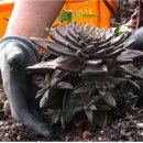 삼당농장 이미지