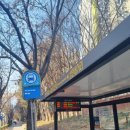 월성초등네거리 이미지