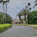 야자수하우스 이미지