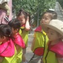 월포농장 이미지