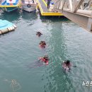 바다민원실 이미지