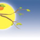 신토불이축산물 - 전주시 덕진구 조경단로 46 | 신토불이축산물