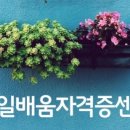 내일배움자격증센터 이미지