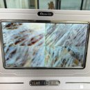 멍헤어 애견미용실 이미지