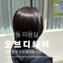 세븐일레븐 광주일곡점 | 광주 염색 맛집 일곡동 미용실 오브디 헤어 봄맞이 그레이브라운 염색 후기
