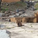 봉골펜션 | 충주여행 1박2일 단체여행 숙소 봉골펜션