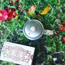 풀꽃민박 이미지