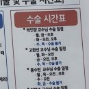 성모의료기 | 서울성모병원 박인양 교수님 제왕절개 수술 준비물 및 후기
