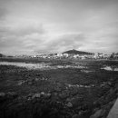 동일리-10 이미지