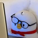 성심세탁소 | ~4.21 / 네버엔딩취준과 은혜로운 도시 성심광역시