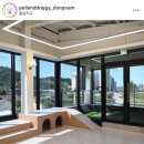 폴앤도기 동남캠퍼스 이미지