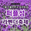 씨유 신안암태점 | 전남 신안 보라빛섬 퍼플섬 라벤더 축제 5월 가볼만한곳