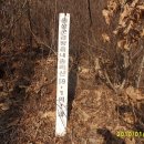 현진주유소 이미지