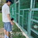 (주)해운관광