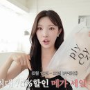 플라이 유튜버