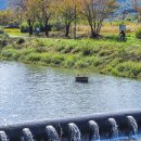 경안천 전대리 이미지