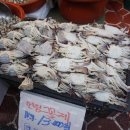 연안회프라자