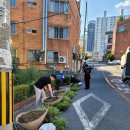 개금1동-10 이미지