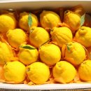 석희농장 이미지