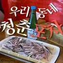 우리동네회포차 | @우리동네청춘포차 | 전주 전어회를 찾으시나요? 서신동 횟집 방문 후기