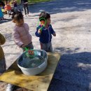 정남농촌체험휴양마을 이미지