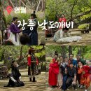 장릉 낮도깨비놀이 상설공연 | 영월 아이와 가볼만한곳 영월 장릉 낮도깨비 1457 잠든 소년 단종 창작뮤지컬