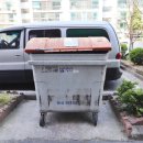 국화동성 이미지