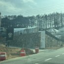 [경남 합천글램핑] 너무 만족스러웠던 &#39;머물당 글램핑&#39; 후기