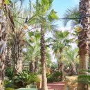 안성리-6 | 안성리카페 어린왕자감귤밭 주차정보 가격 추천메뉴