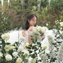 플라워디렉팅 :: 감성 센스 가격 놓칠 수 없다면, 르꺄도(Le Cad&#39;au) 플디 스튜디오 촬영 후기