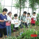 채림효원 뉴시스